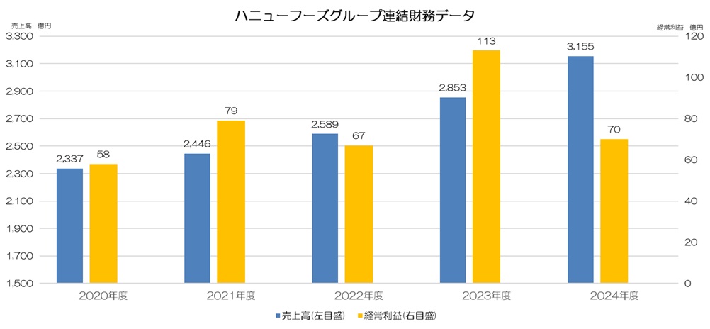 ハニューフーズ株式会社連結財務データ